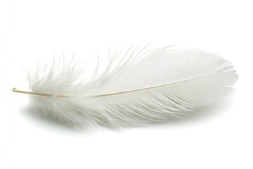 Obraz premium On a white background, a white feather is isolated. Generative Ai