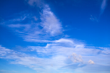 Blue sky with cloud in summer in tropical place