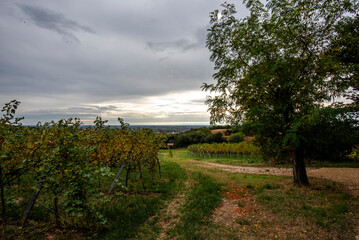 2023 11 01 Lonigo panorama 29