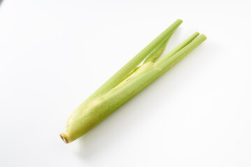 マコモダケ（真菰筍）イメージ