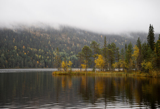 autumn landscape with yellow forest, Oulanka National park, Finland