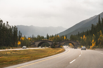 Wildlife crossing over highway through Banff National Park, Canada.