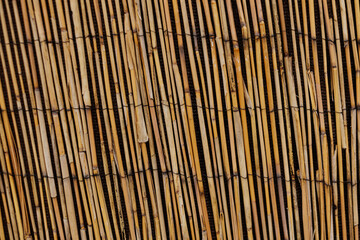Bamboo fence creating a natural and sustainable barrier Karlin, Prague