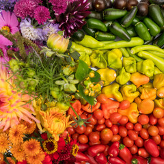Colorful vegetables and flowers arranged in rainbow hues.