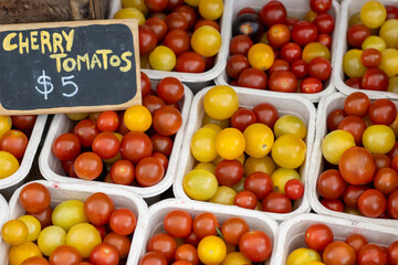 Colorful cherry tomatoes in cartons on display at a farmers market