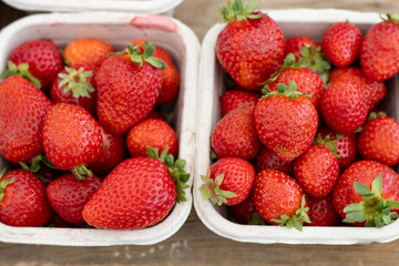 Fresh strawberries in cartons on display at a farmers market