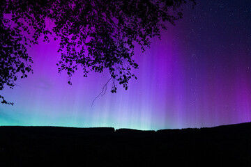 Green and purple northern lights rise above mountain