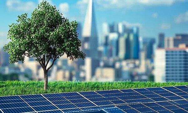A single tree with lush green leaves stands on a patch of grass in front of a solar panel with a blurry city skyline in the background.