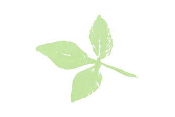 Green watercolor background. Artistic hand paint. Isolated on transparent background.
