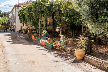 Courtyard is decorated with the decorative crafts and live plants in historical district in Zikhron...