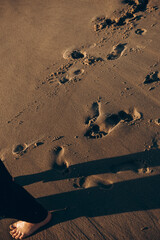 A person is leisurely walking along a sandy beach, leaving a trail of footprints imprinted gently...