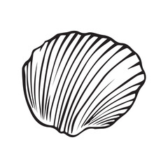 Vector Seashell. Hand drawn illustration of sea Shell on isolated background. Drawing of Scallop on outline style. Sketch of Cockleshell painted by black ink