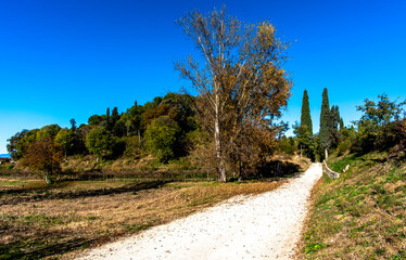 2023 11 26 Lazise country road 2