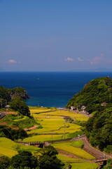 棚田と海