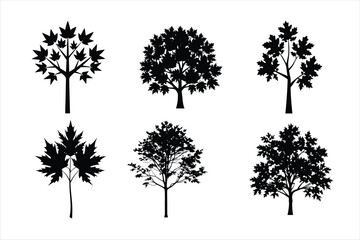 Fototapeta premium Bundle of Autumn Maple tree silhouette art. Maple tree silhouette with intricate branches and detailed leaf