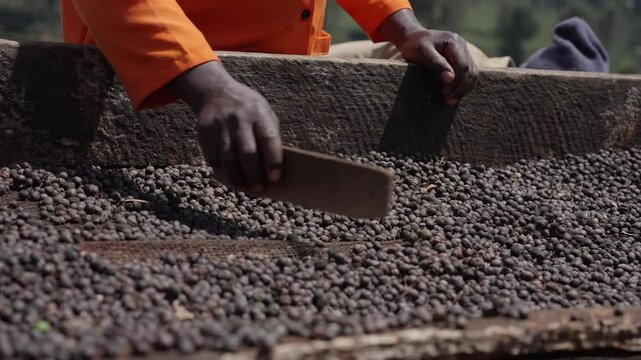 Employee Mixing Ready- Made Coffee