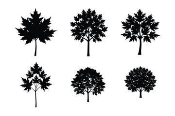 Fototapeta premium Bundle of Autumn Maple tree silhouette art. Maple tree silhouette with intricate branches and detailed leaf