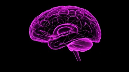 Vibrant purple brain illustration on a dark background, highlighting neural connections and structures.