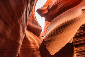 Sunlight enhances the rich red curves of Lower Antelope Canyon