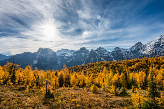 Mountains and yellow larch trees in fall in Larch Valley, Canada.