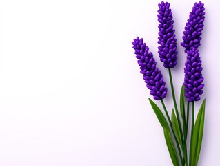 Naklejka premium Bunch of lavender flowers are arranged in a clear vase. The flowers are purple and the vase is made of glass. The arrangement is simple and elegant, with the flowers taking center stage