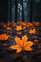 A collection of autumn leaves floating against a dark background in a tranquil setting