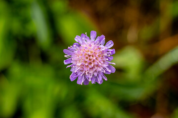 Spaziergang durch den Südwesthang des Thüringer Waldes bei Schmalkalden bei einem nassen Herbstwetter - Thüringen - Deutschland