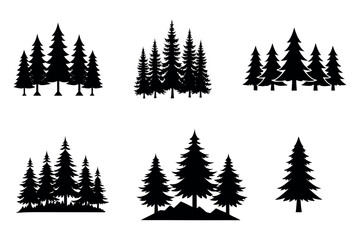 Fototapeta premium pine tree forest silhouette. pine tree landscape - Forest tree silhouettes collection