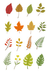 Set of various tree leaves, oak, maple, and chestnut. Spring or summer leaves collection. Flat vector illustration on a white background.