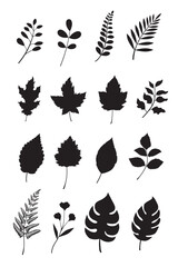 Hand drawn leaves elements set. black silhouette on a white background.