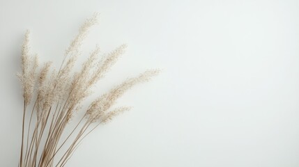 Fototapeta premium A minimalist arrangement of dried grass on a light background, evoking calmness and simplicity.