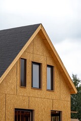 Contemporary SIP Panel Home 