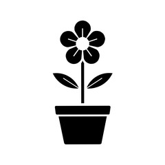 flower in flowerpot
