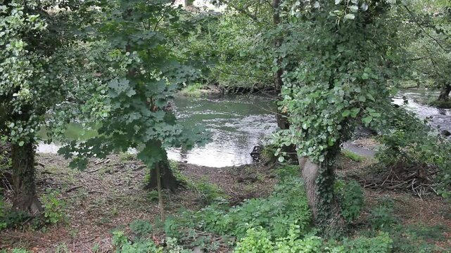 River Cabe in Monforte de Lemos
