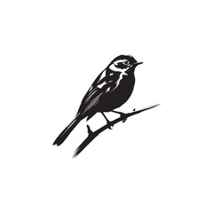 Obraz premium Natural Bird Silhouette Design 