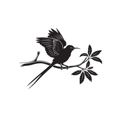 Natural Bird Silhouette Design 