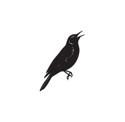 Natural Bird Silhouette Design 