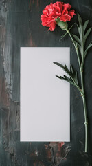 Obraz premium Red Carnation with Blank Paper on Dark Textured Background