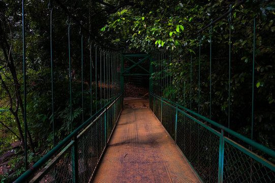 Hanging bridge in the forest, this bridge connect  to Thusharagiri waterfall, Calicut Kerala 