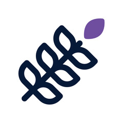 wheat icon. vector dual tone icon for your website, mobile, presentation, and logo design.