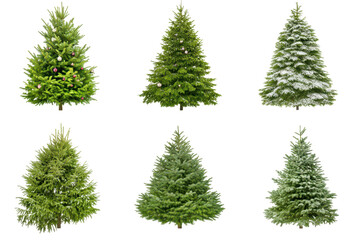 Obraz premium A collection of various green Christmas trees in different shapes and styles, isolated on a white background. This festive assortment is ideal for holiday decoration concepts, Christmas themes, and se