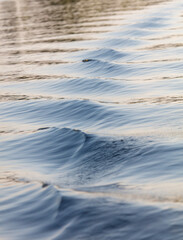 The water is calm and the waves are small