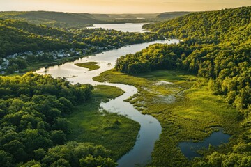 forest landscape with river that flows the water
