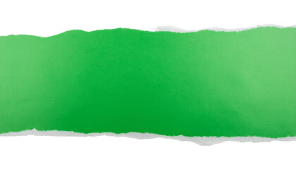 green ripped paper torn edges strips isolated on white background