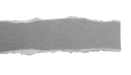 grey ripped paper torn edges strips isolated on white background