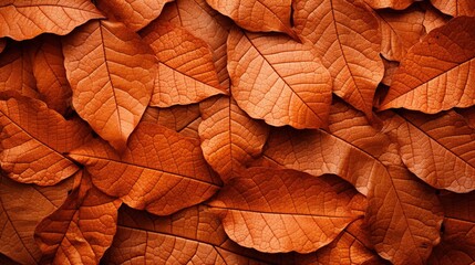 Top view and flat lay of red leaves background