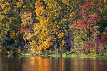 Autumn in the park. Beautiful autumn colors in the park