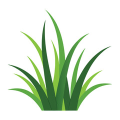Green Grass Vector Illustration - Vibrant Nature Art 