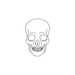 Fototapeta premium Skull