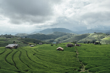 rice fields on a mountain and take photo in the Ban Pa Bong Piang, Mae Chaem District, Chiang Mai Province, northern Thailand in the rainy season.